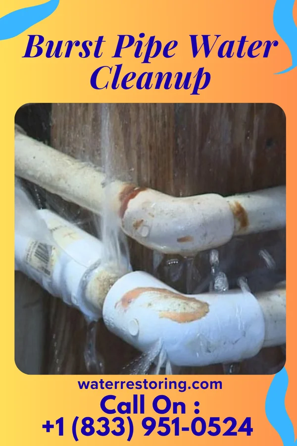 Burst Pipe Water Cleanup in Binger, OK